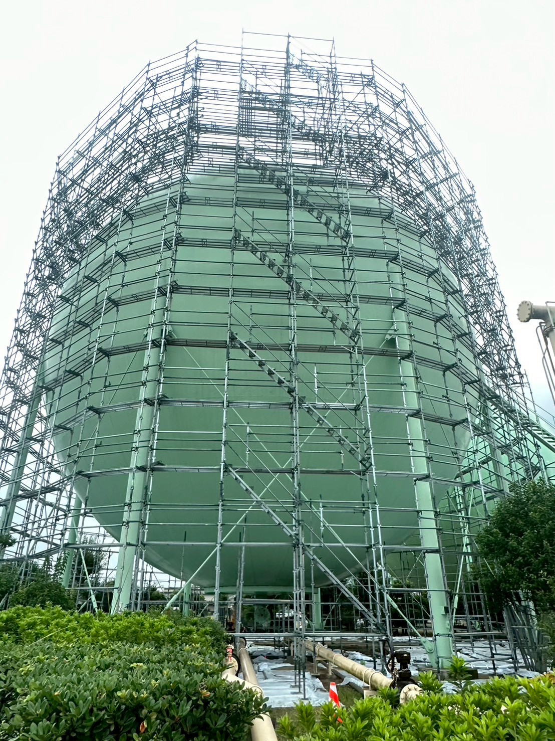 LINE_ALBUM_20260113_260113_36