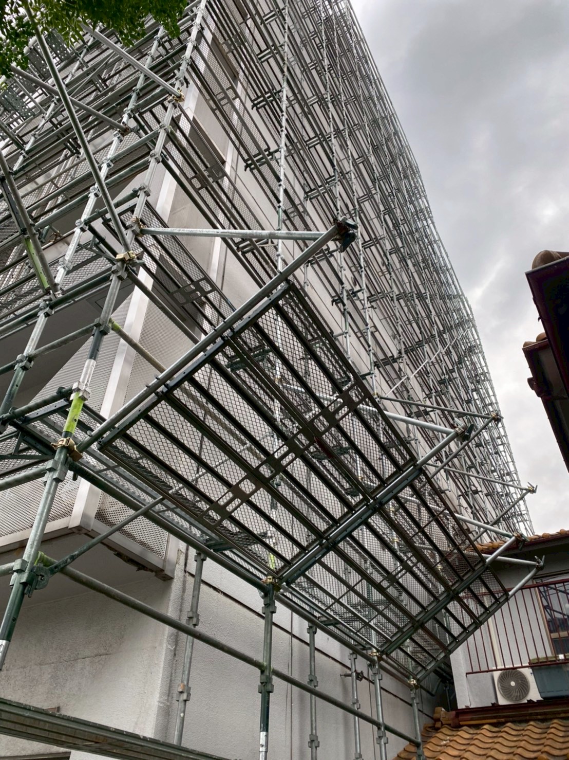 LINE_ALBUM_20260113_260113_47